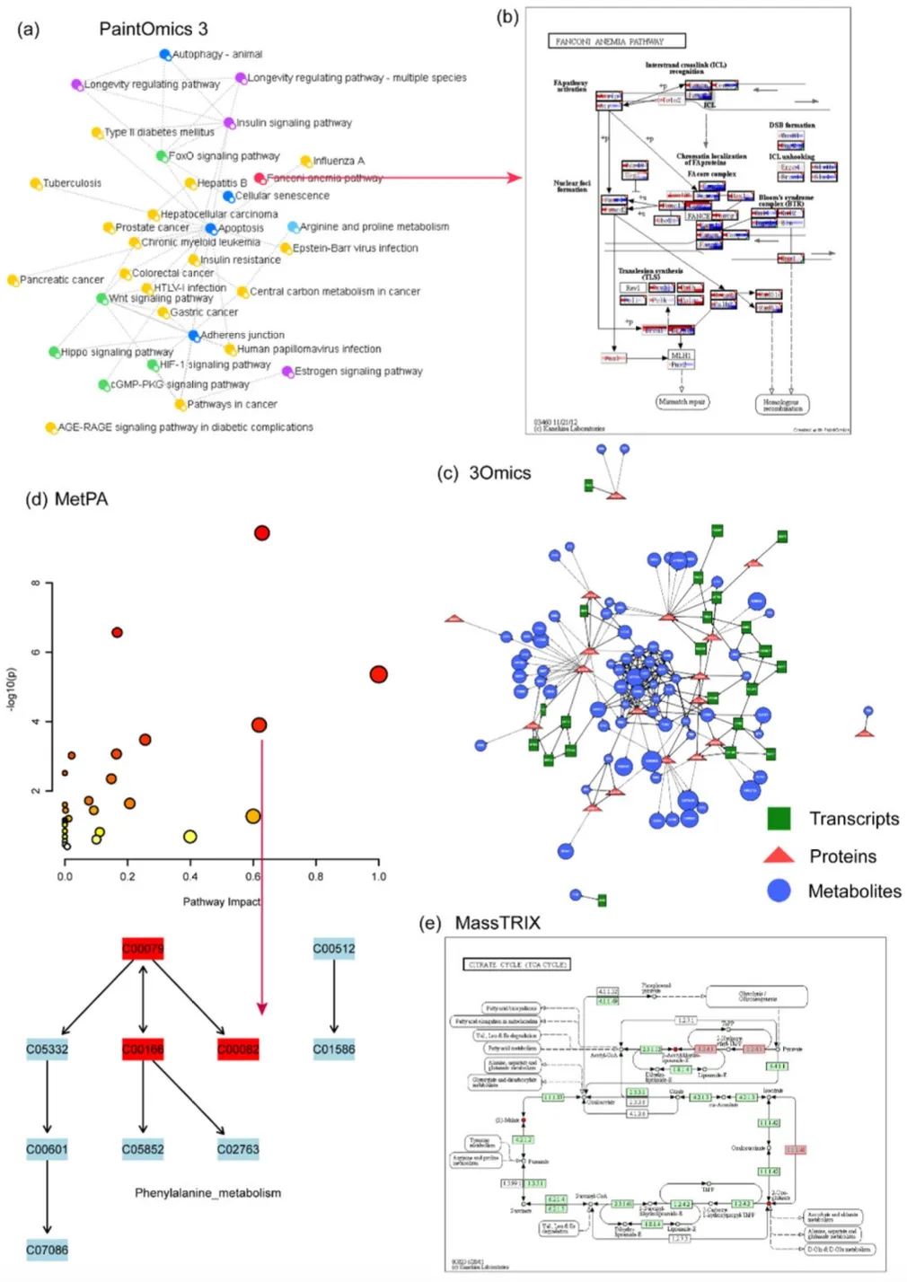代谢组学分析指南_metaboanalyst热图教程-CSDN博客