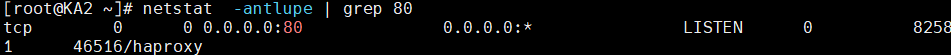 image-20250723232104608
