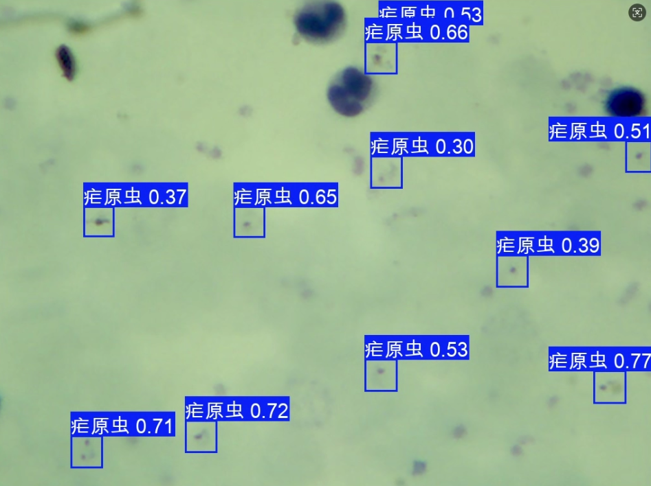 image-20250803230737838