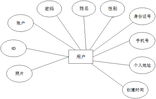 用户实体属性图