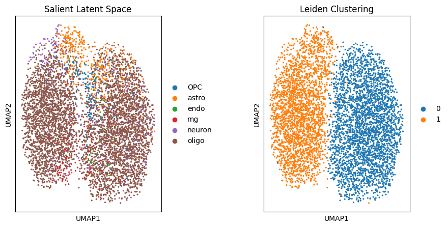 No description has been provided for this image