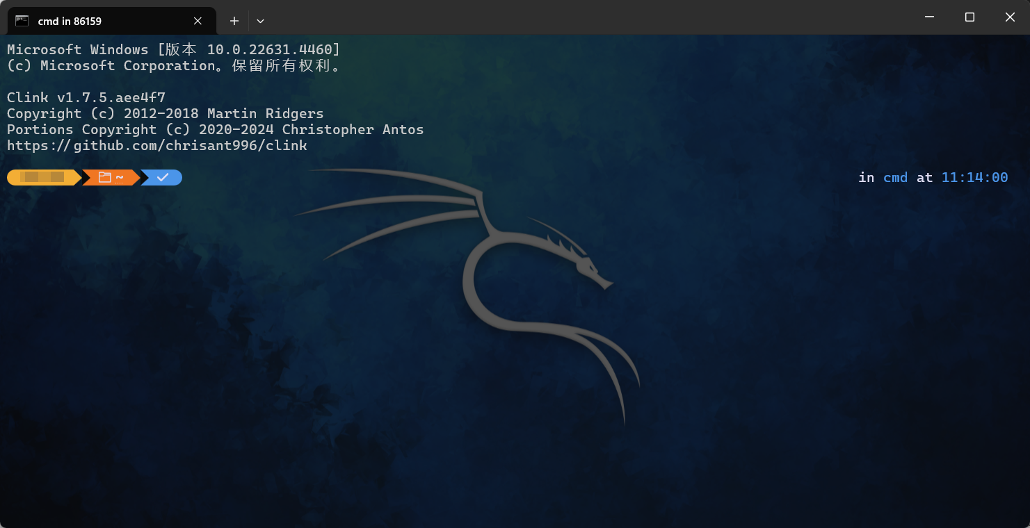 image-20241120111426446