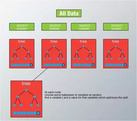 一文读懂“随机森林”在微生态中的应用_随机森林 微生物-CSDN博客