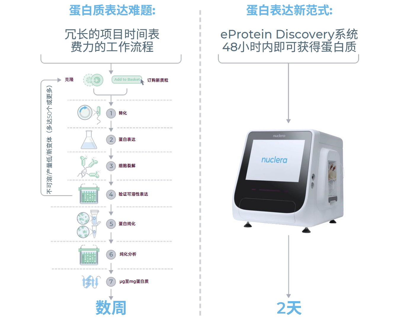 无细胞蛋白表达系统流程对比