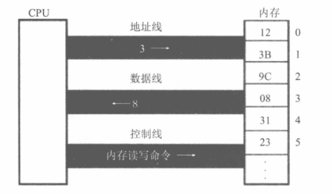 CPU与存储器数据交互