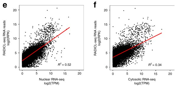 RADICL-seq：更高效、更精准的染色质-RNA互作研究方法，绘制更完整的染色质-RNA互作图谱-CSDN博客