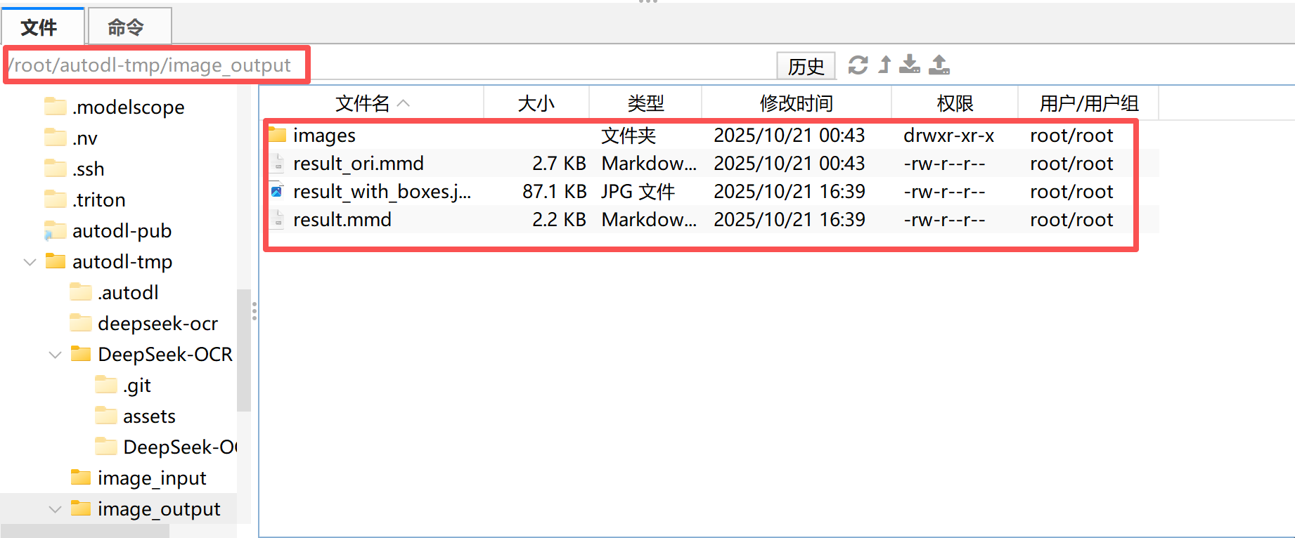 image-20251021164048810