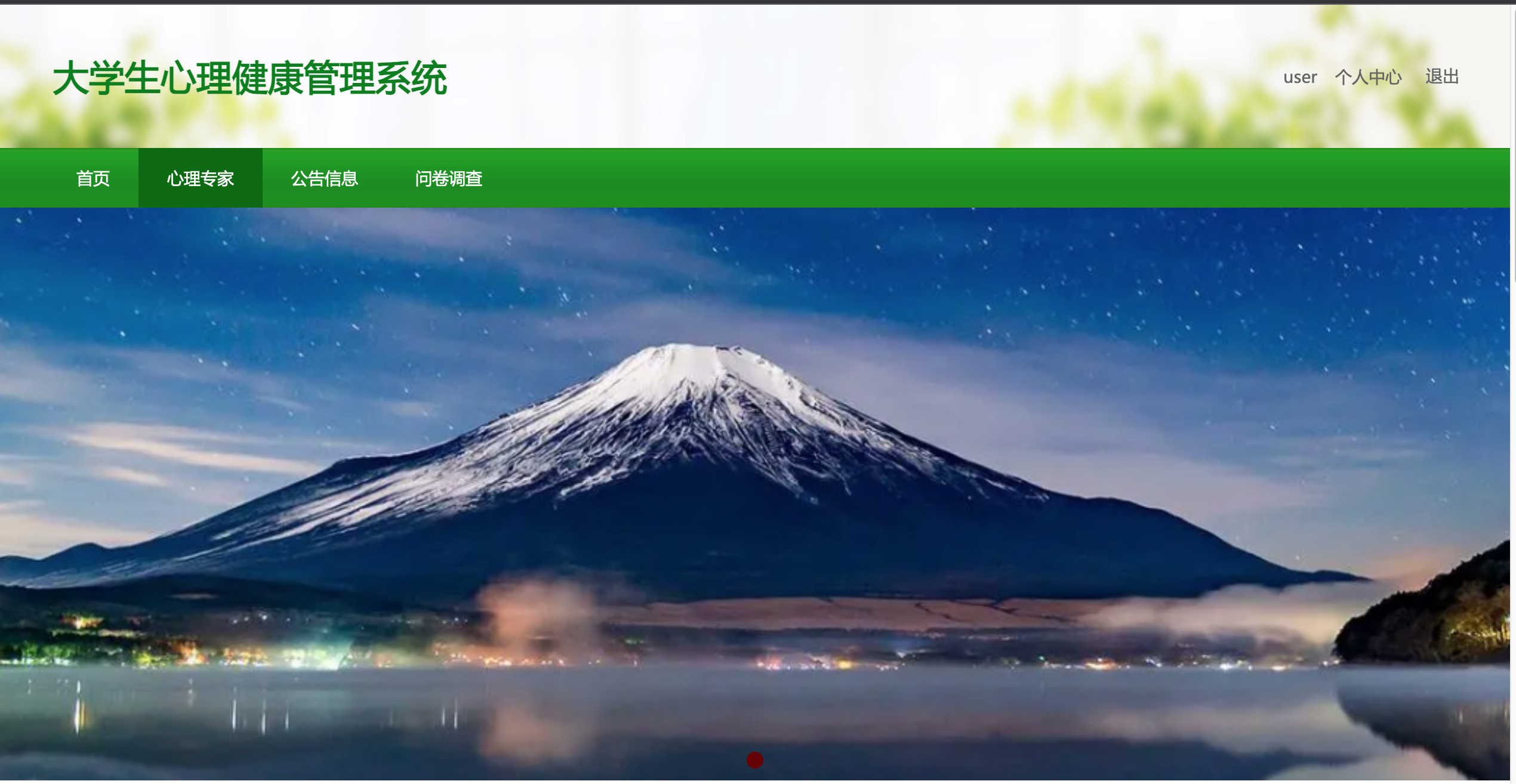 image-20250304201624607