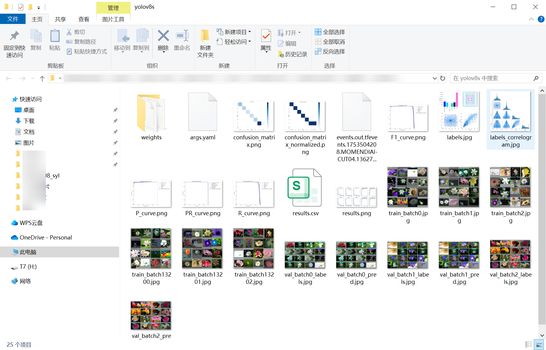66_flower_det-weights_folder_screenshot.png