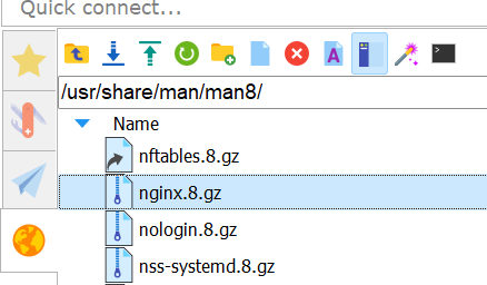 /usr/share/man/man8/nginx.8.gz