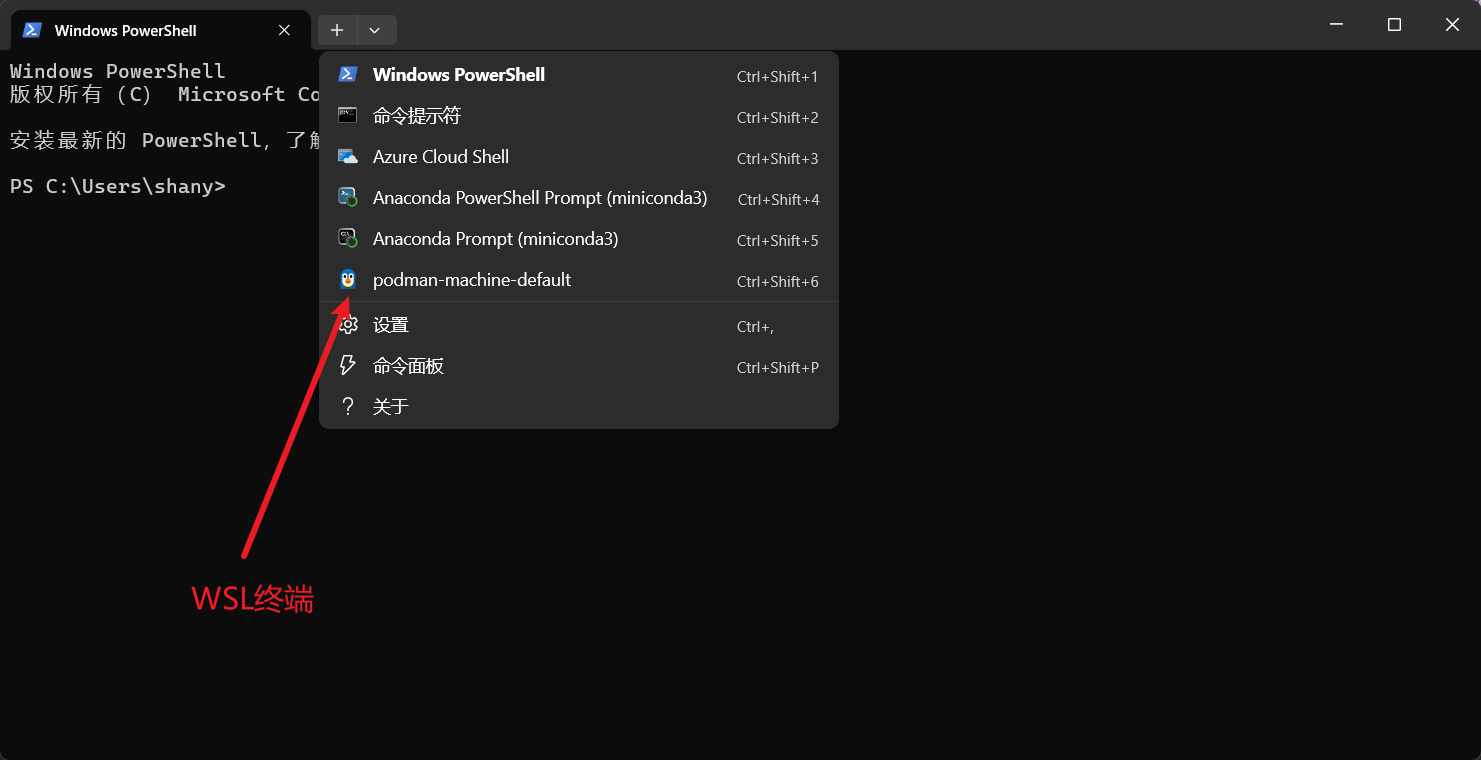 image-20251114160154752