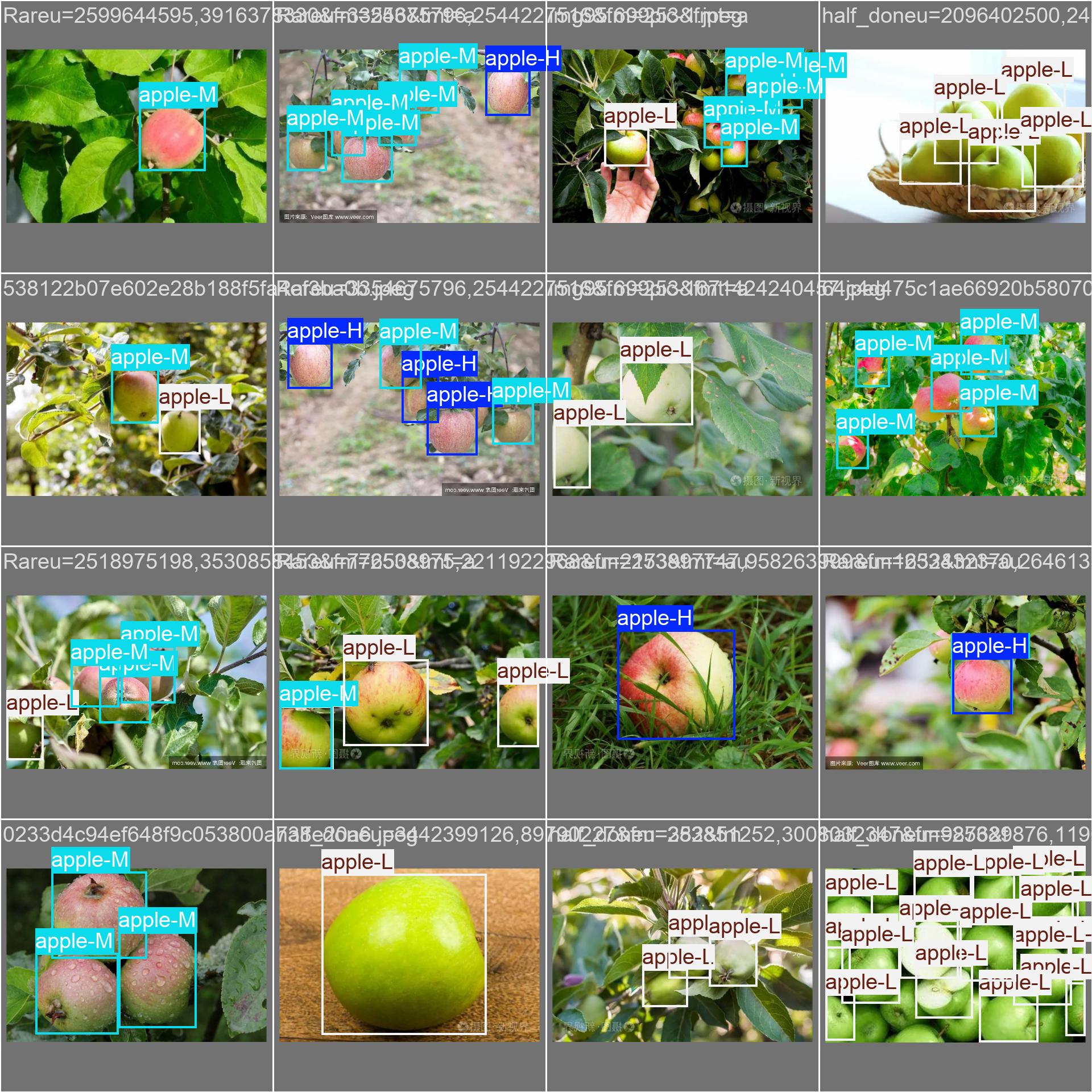 val_batch1_labels.jpg