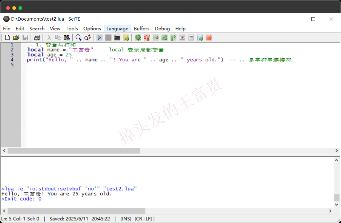 image-20250611204535478