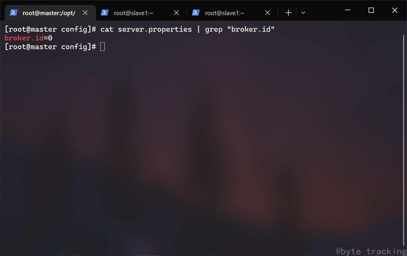 查看 master broker id