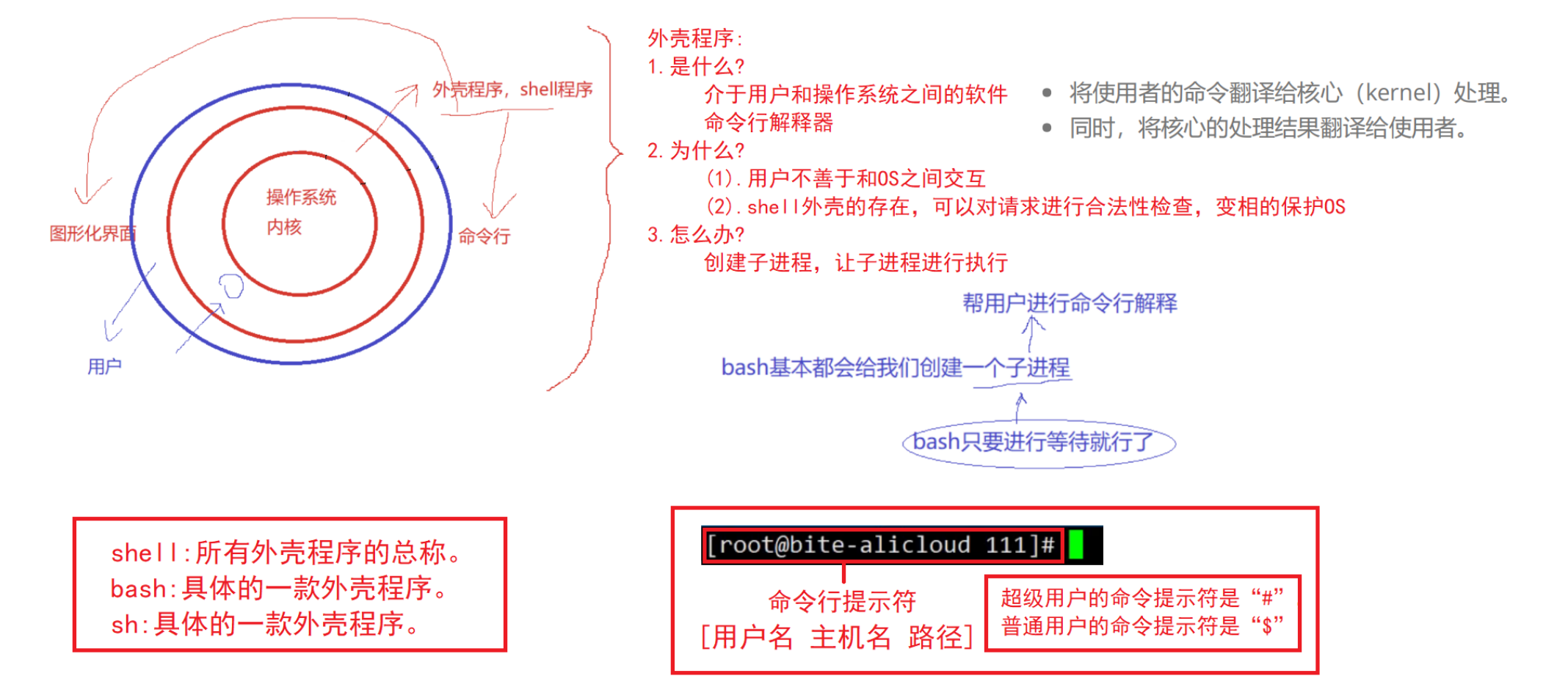 image-20250225125352404