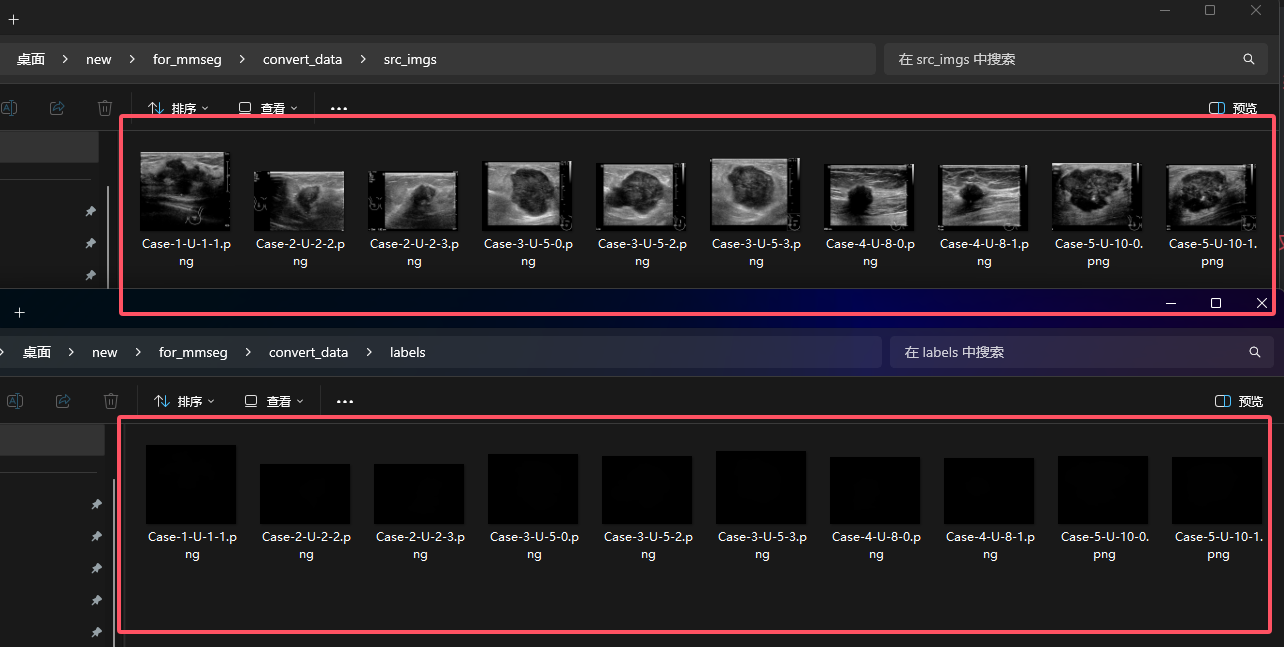 image-20250129231538406