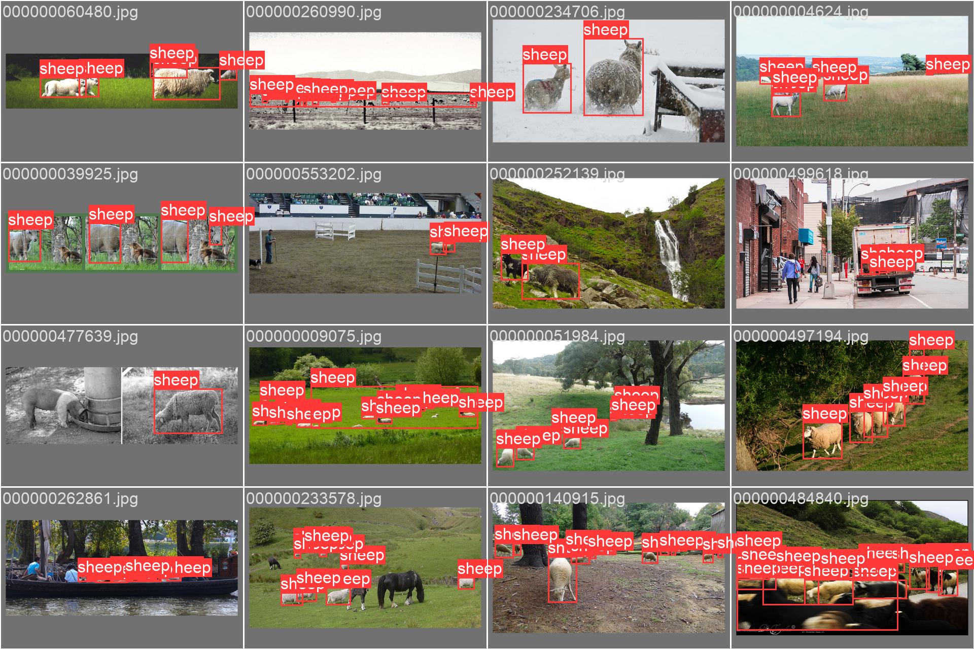 60_sheep_count-val_batch0_labels.jpg