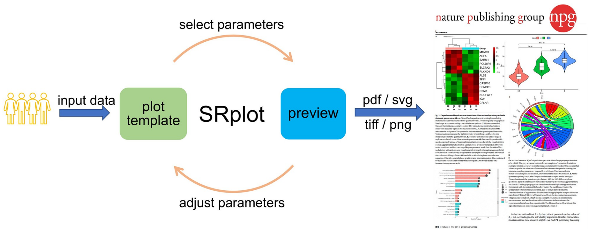 Fig 1. SRplot 的工作流程