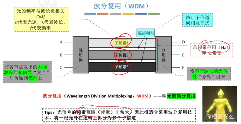 image-20250612124628841
