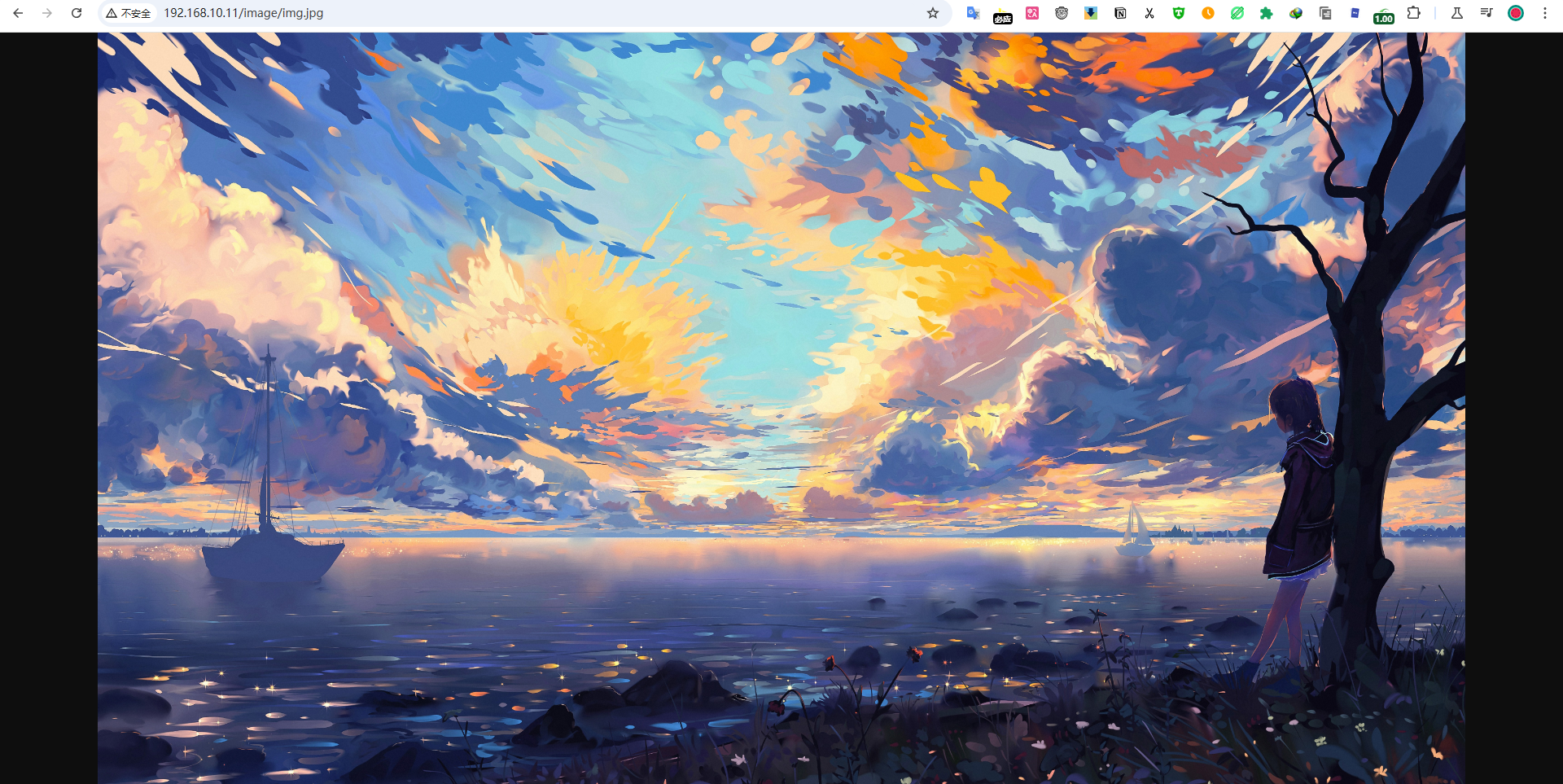 image-20240919153650694