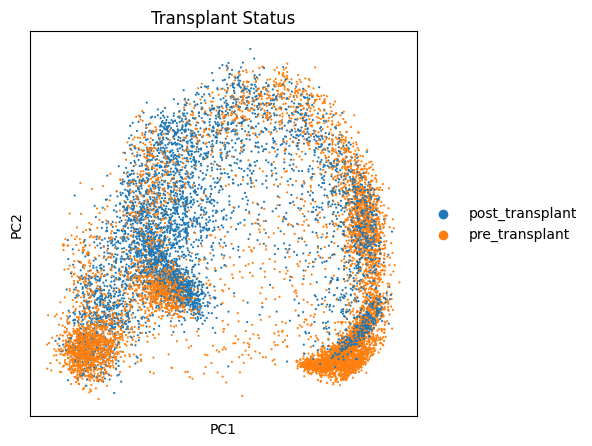 No description has been provided for this image