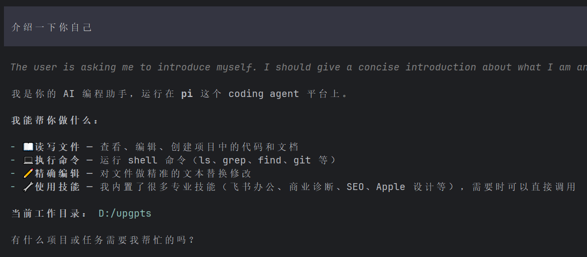 Pi Agent DeepSeek API 密钥输入
