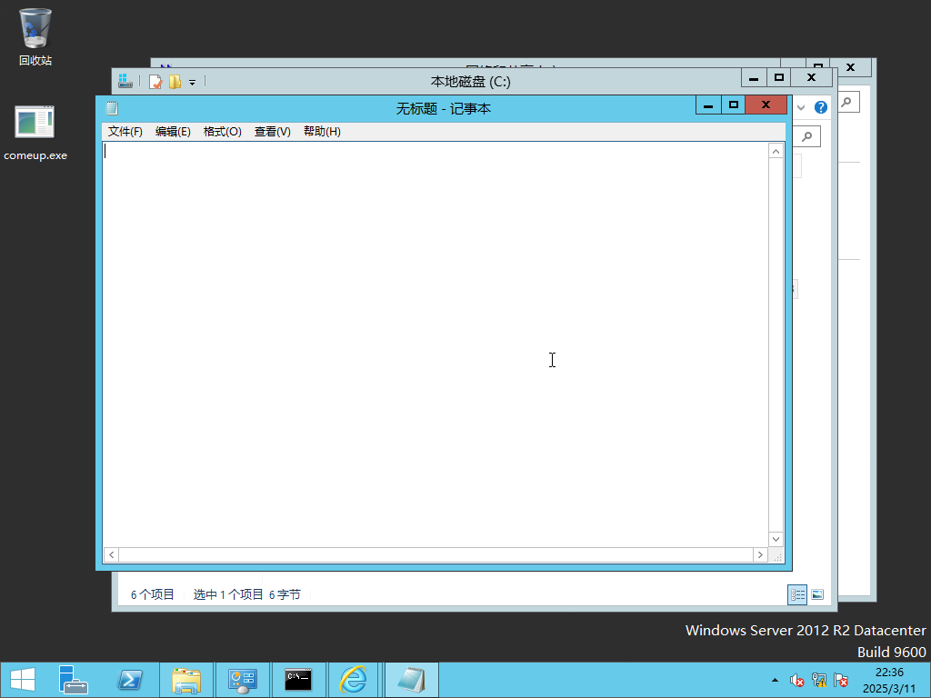 image-20250311223703723