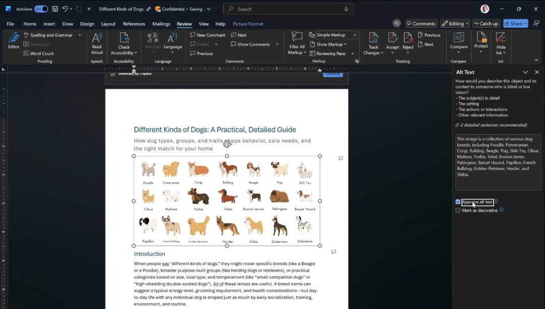 Microsoft 365 | 生成更丰富的替换文字