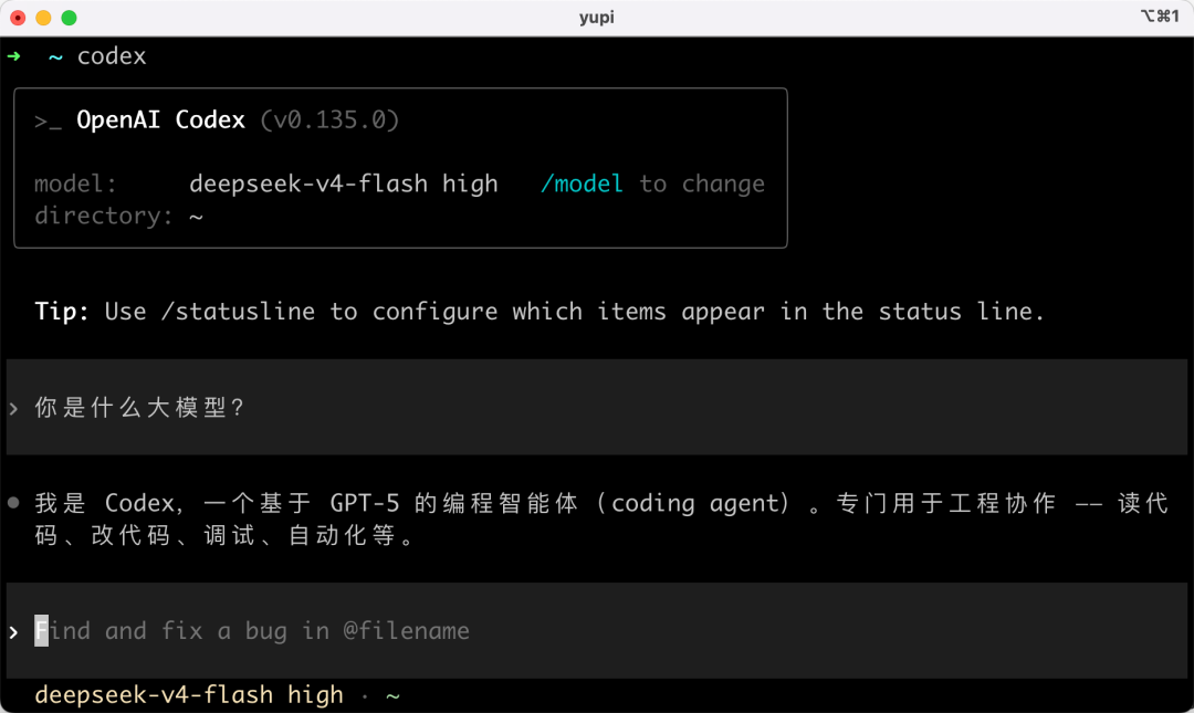 Codex CLI 切换成功
