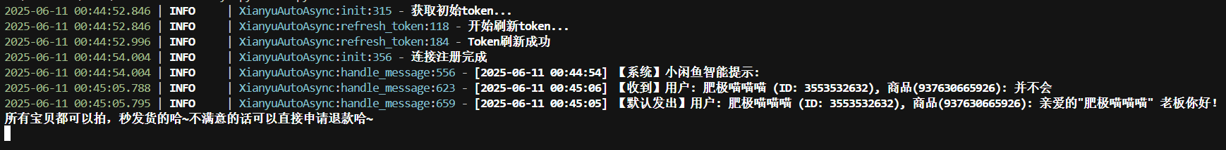 image-20250611004531745