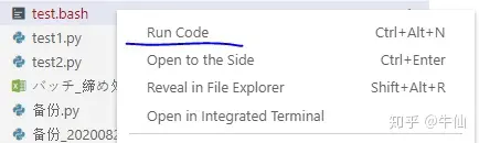 VS code 打造 shell脚本 IDE_vscode编写shell脚本-CSDN博客