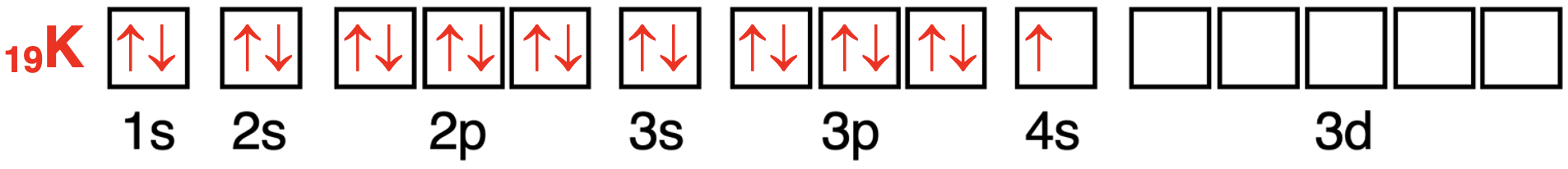 Orbital box diagram showing the configuration of electrons in orbitals for potassium.
