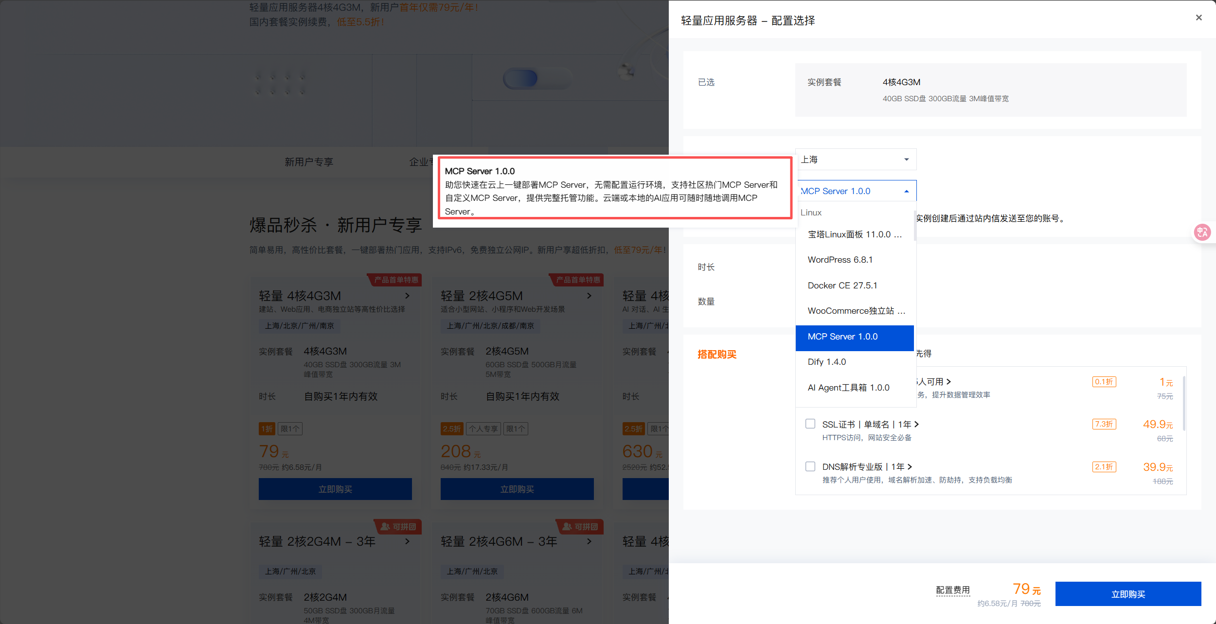 选择 MCP Server 1.0.0 镜像