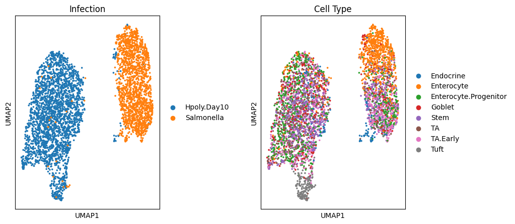 No description has been provided for this image