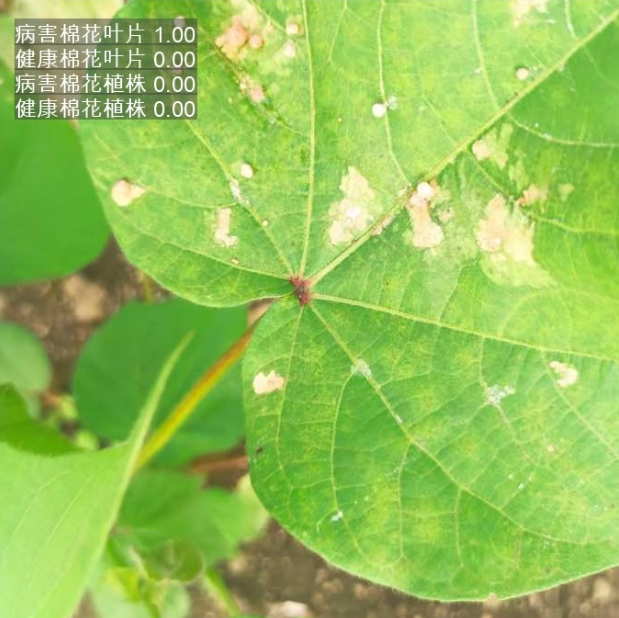 image-20260113011506053