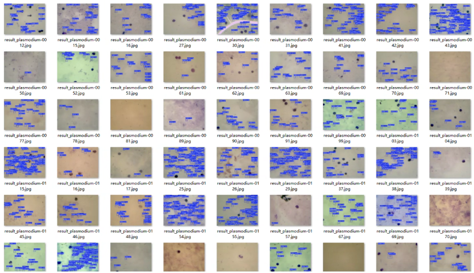 image-20250819113743867