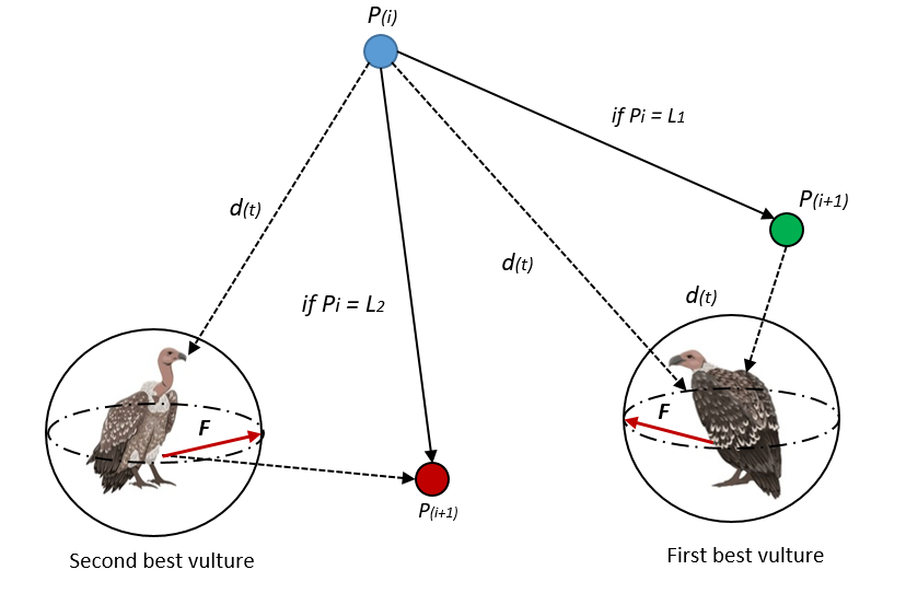 图10：非洲秃鹫争食时的整体向量