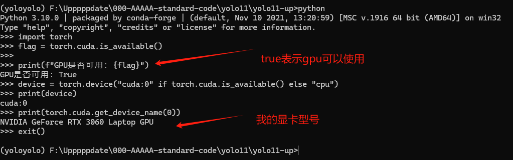 image-20250131144032999
