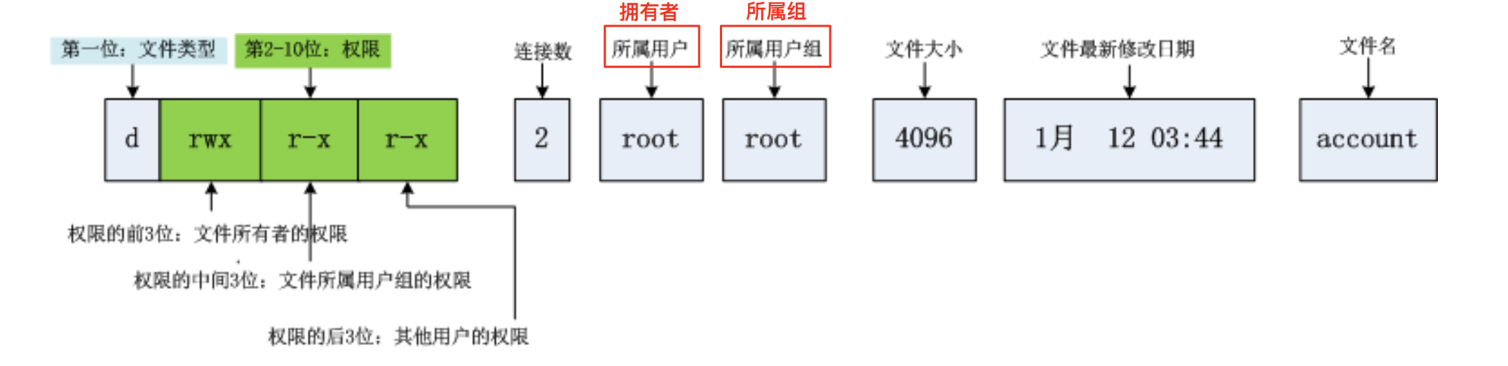 image-20250226085550735