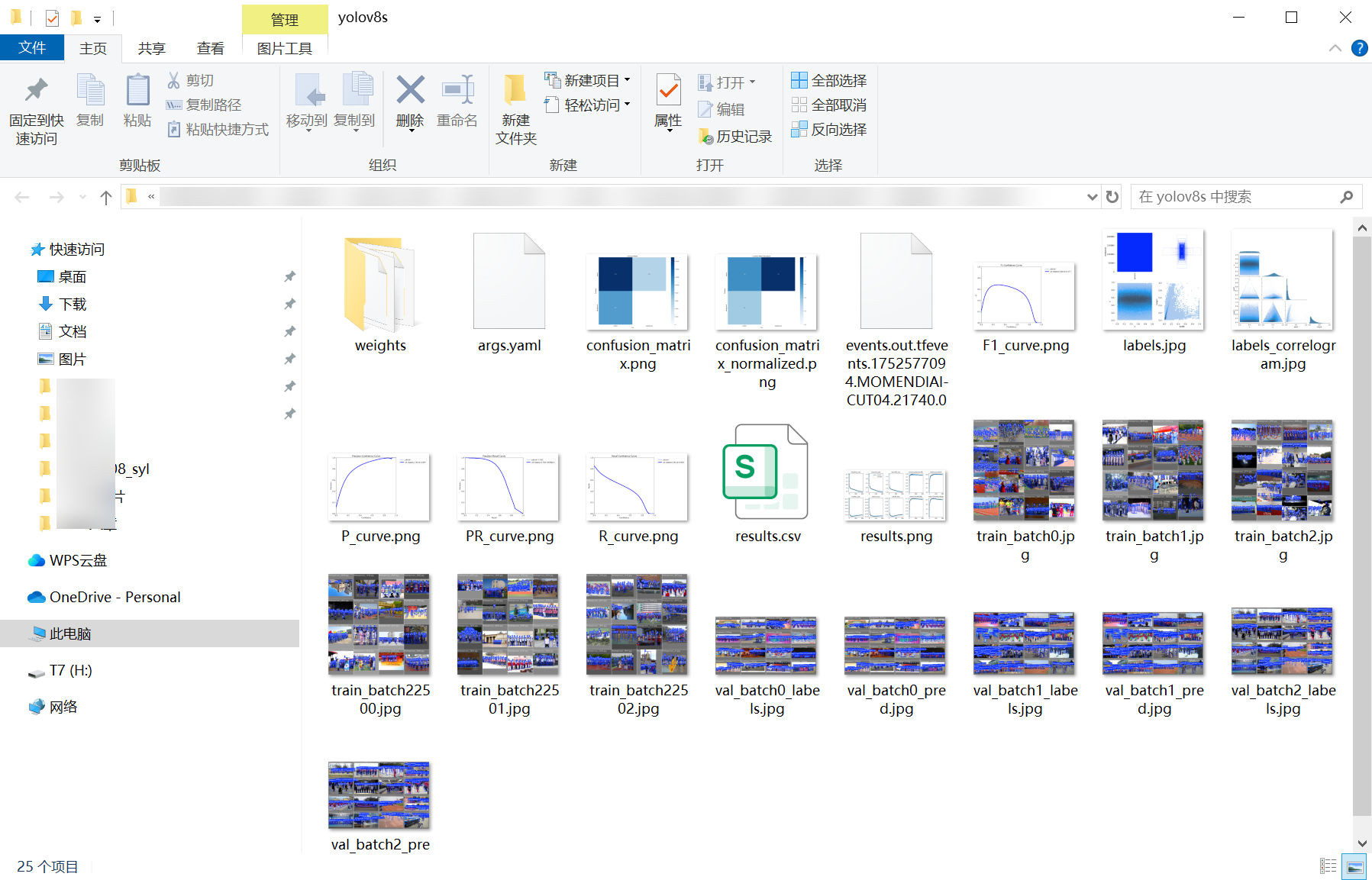 25_person_detect-weights_folder_screenshot.png