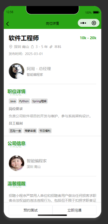 岗位详情页：展示招聘岗位与招聘企业的详细信息