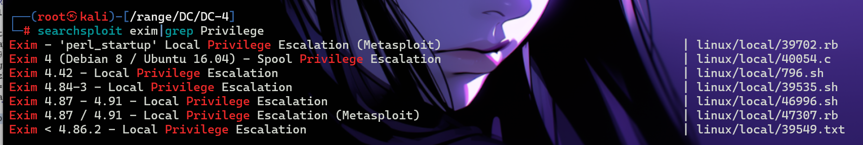 image-20250113202633702