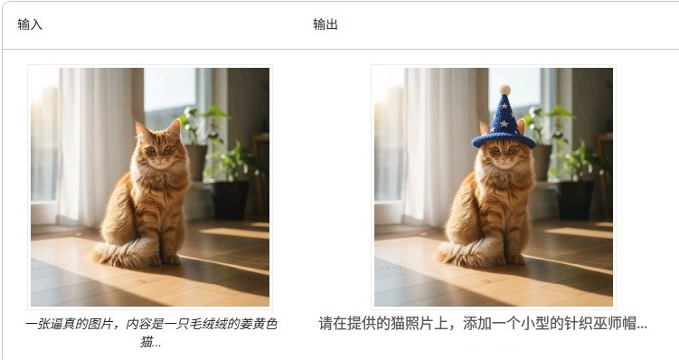 给猫添加个帽子