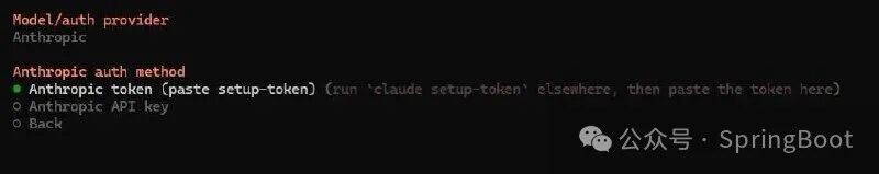 选择 Model Provider