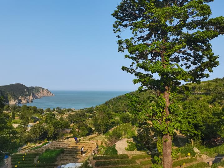 DCC-GARCH模型与代码实现
