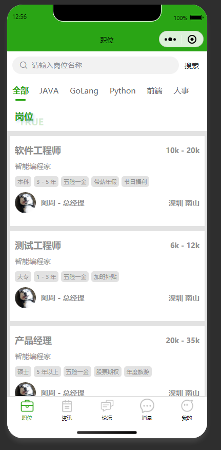 岗位列表页：展示招聘岗位，支持按类别搜索筛选