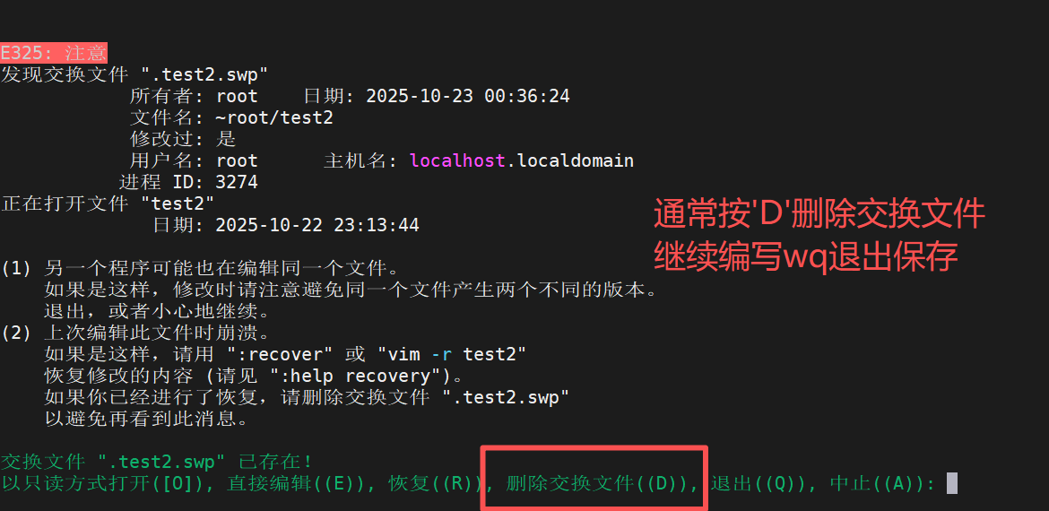 image-20251023003727856