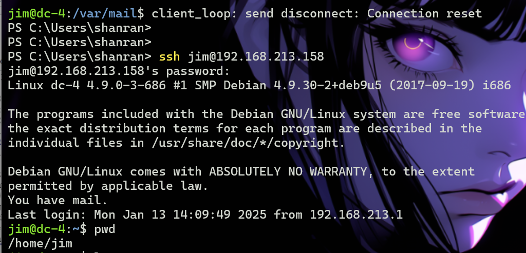 image-20250113201546644