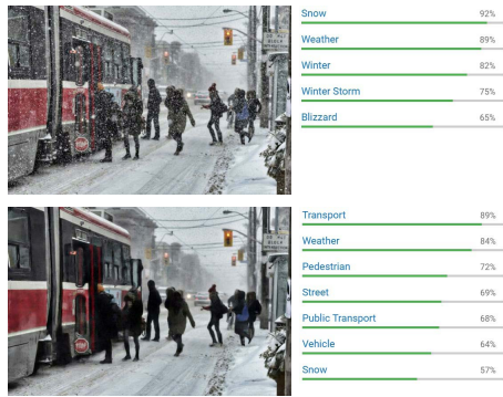 Fig.1. Realistic winter photograph(top) and corresponding snow removal result(bottom) of the proposed method with labels and confidences supported by Google Vision API.